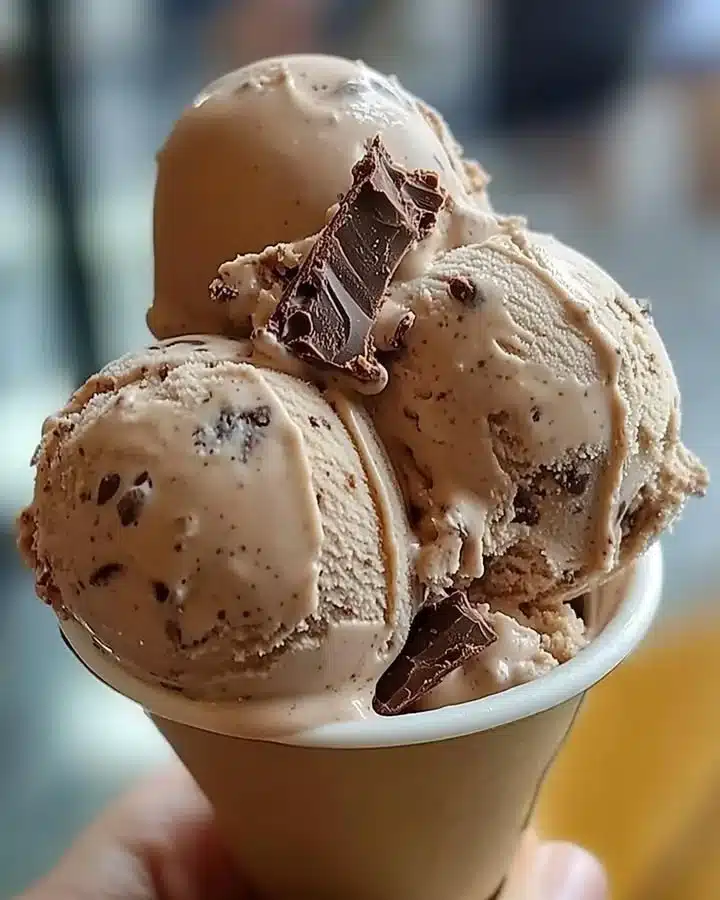 Delicious coffee ice cream with dark chocolate flecks in a bowl