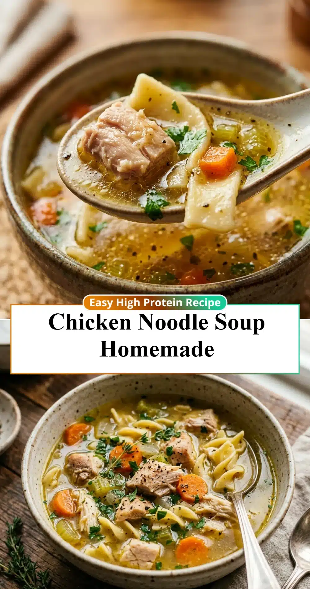 Chicken Noodle Soup Homemade