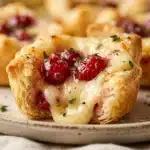 Cranberry Brie Bites