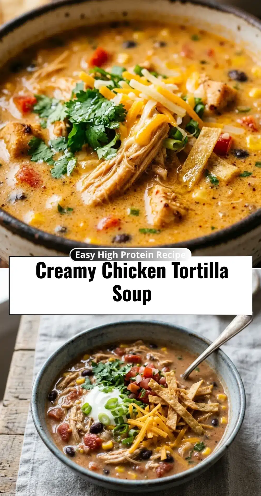 Creamy Chicken Tortilla Soup