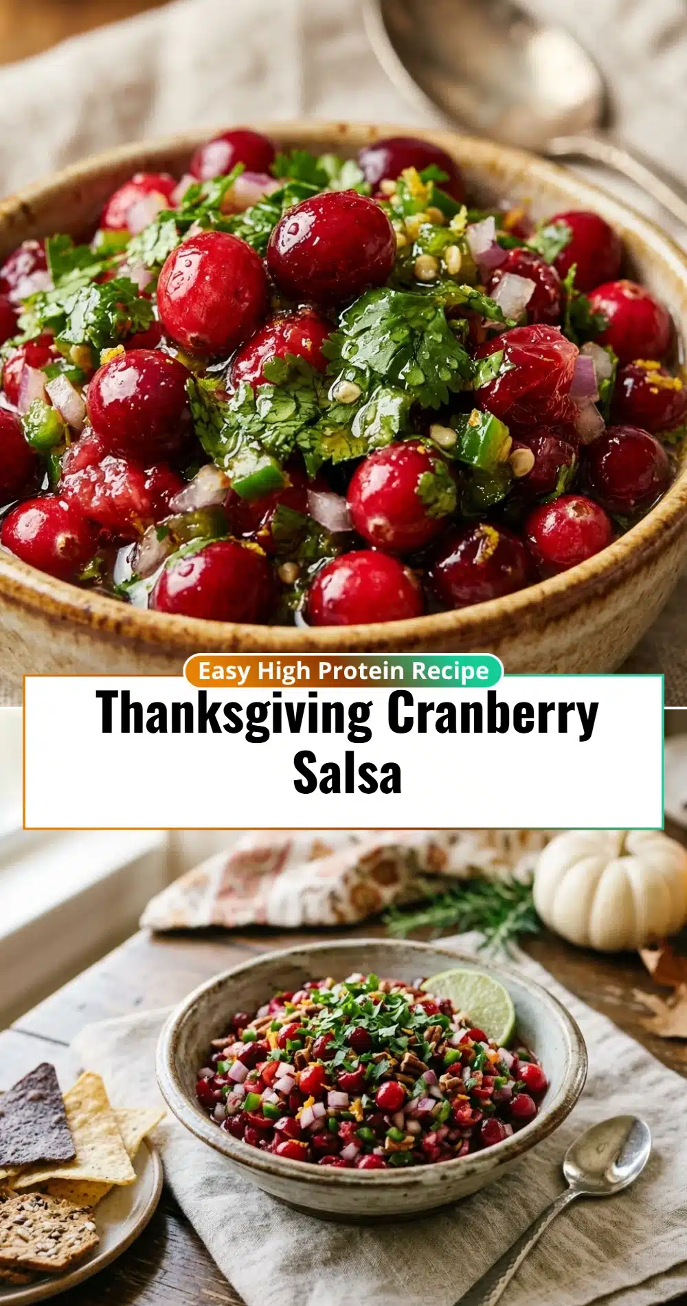Thanksgiving Cranberry Salsa