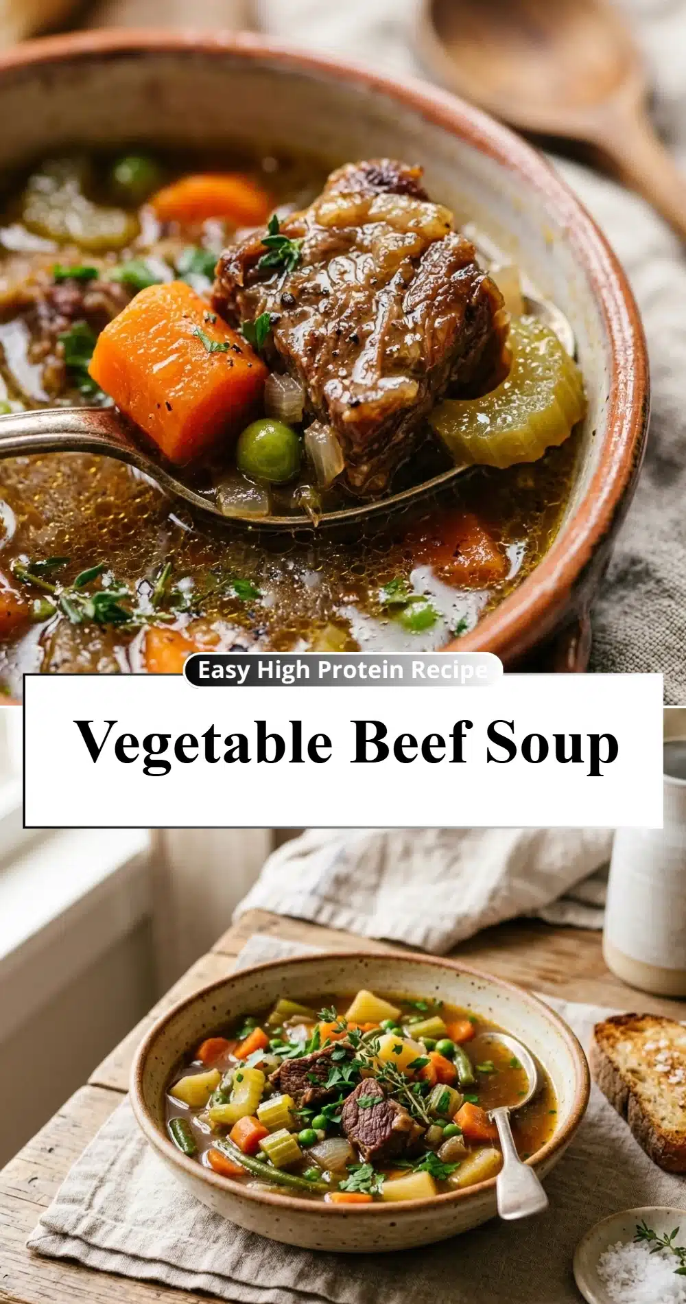 Vegetable Beef Soup