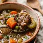 Vegetable Beef Soup